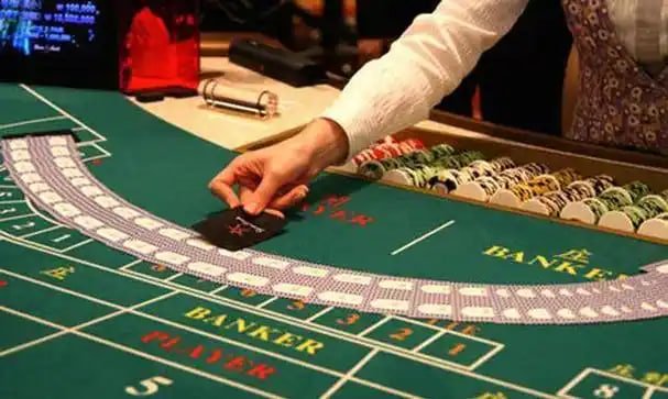 Evolution Gaming roulette wheel and betting layout on maluku4d login